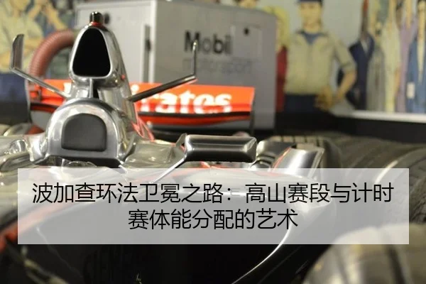 bo-jia-cha-huan-fa-wei-mian-zhi-lu-gao-shan-sai-duan-yu-ji-shi-sai-ti-neng-fen-pei-de-yi-shu-2-798.jpg