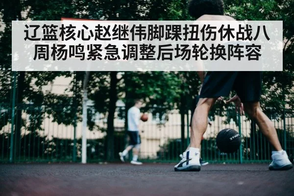 辽篮核心赵继伟脚踝扭伤休战八周杨鸣紧急调整后场轮换阵容
